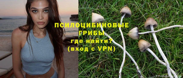 эйфоретик Новокубанск