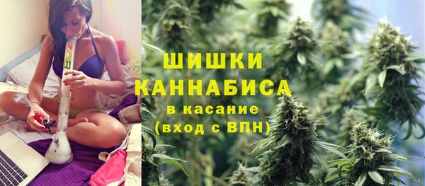 эйфоретик Новокубанск